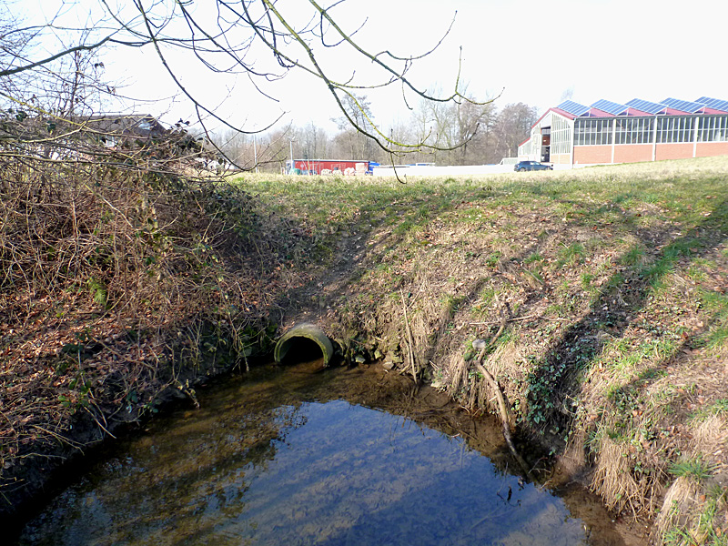 osterbach seitenarm ot lohe koenigshagen offenlegung sekundaeraue sohlgleite 02
