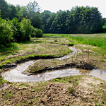 wu mühlenbach bachverlegung thumb