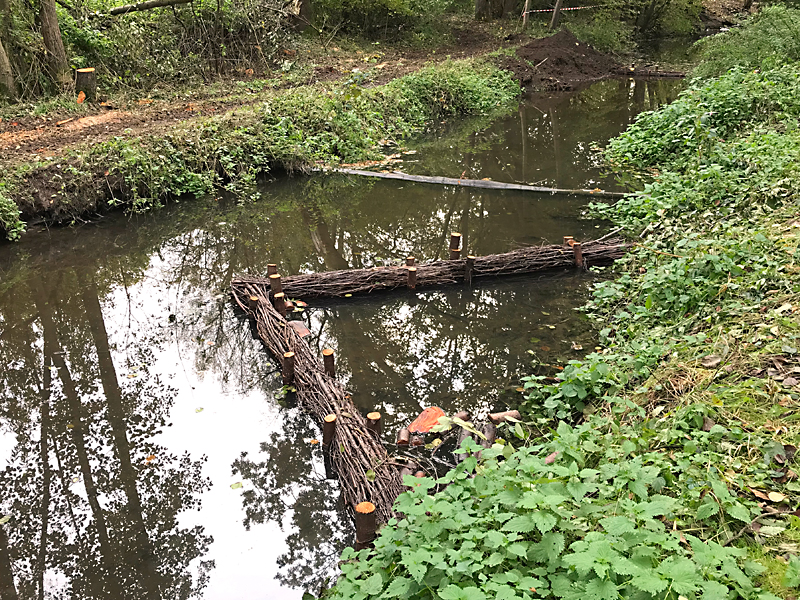 brandbach nsg bustedter wiesen bachverlegung sohlerhoehung und uferabflachung 14