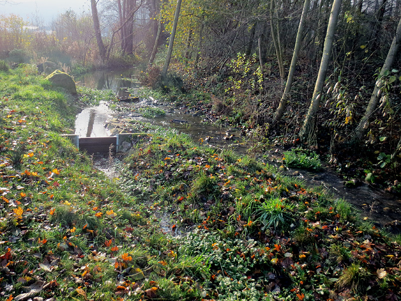 rothenuffelner muehlenbach rothenuffeln kurpark schleifen eines wehres neue sohlgleite optimierung der wasserteilung 08