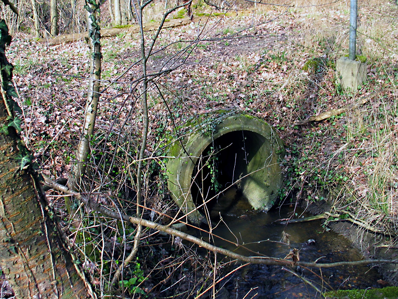 lehmkefluss mindener wald furt 01