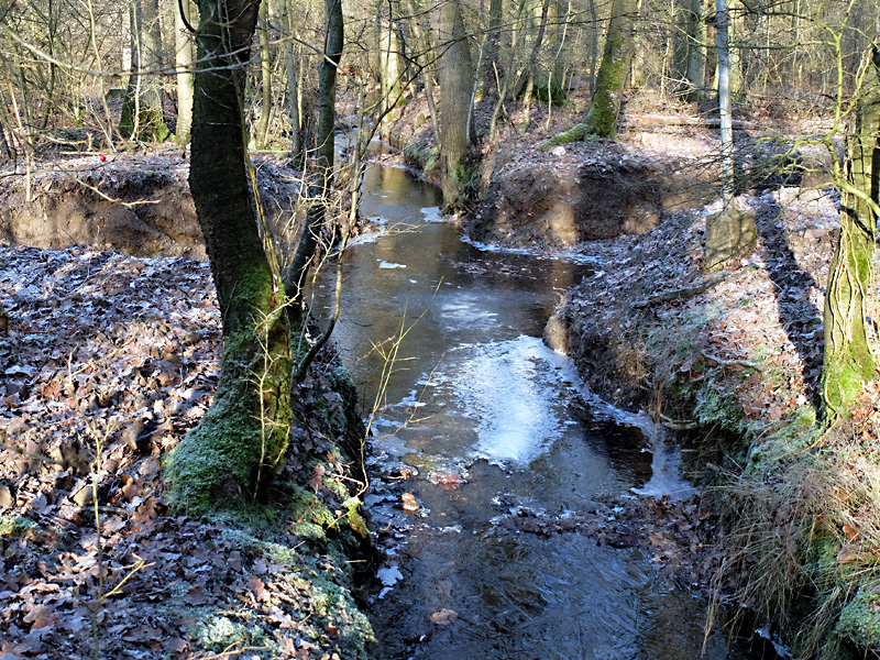 lehmkefluss mindener wald furt 02