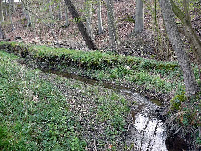 quernheimer bach suedl sunderhofstr bachaufweitung 14