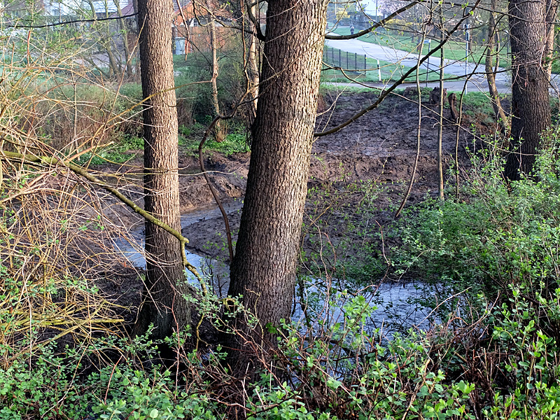 mittelbach grossensieker weg anlage eines auenbiotops 06