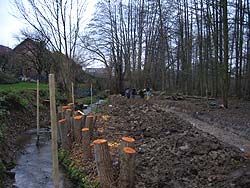 Verlegung