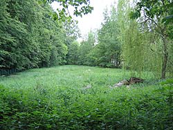 vorher
