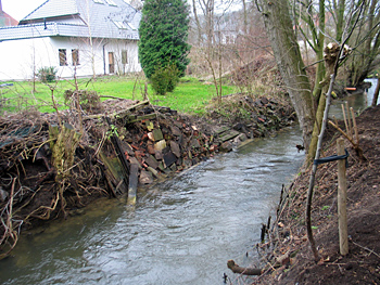 gr-aue-muehlenweg-05