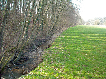 bur westkilverstr 2