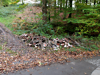 klosterbach 2015 03