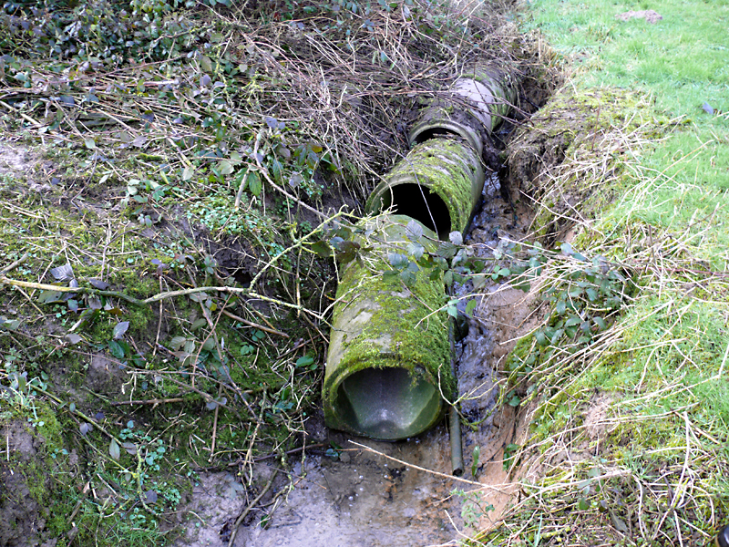 Sunderfeldbach Spenge 17 01 6 bild02